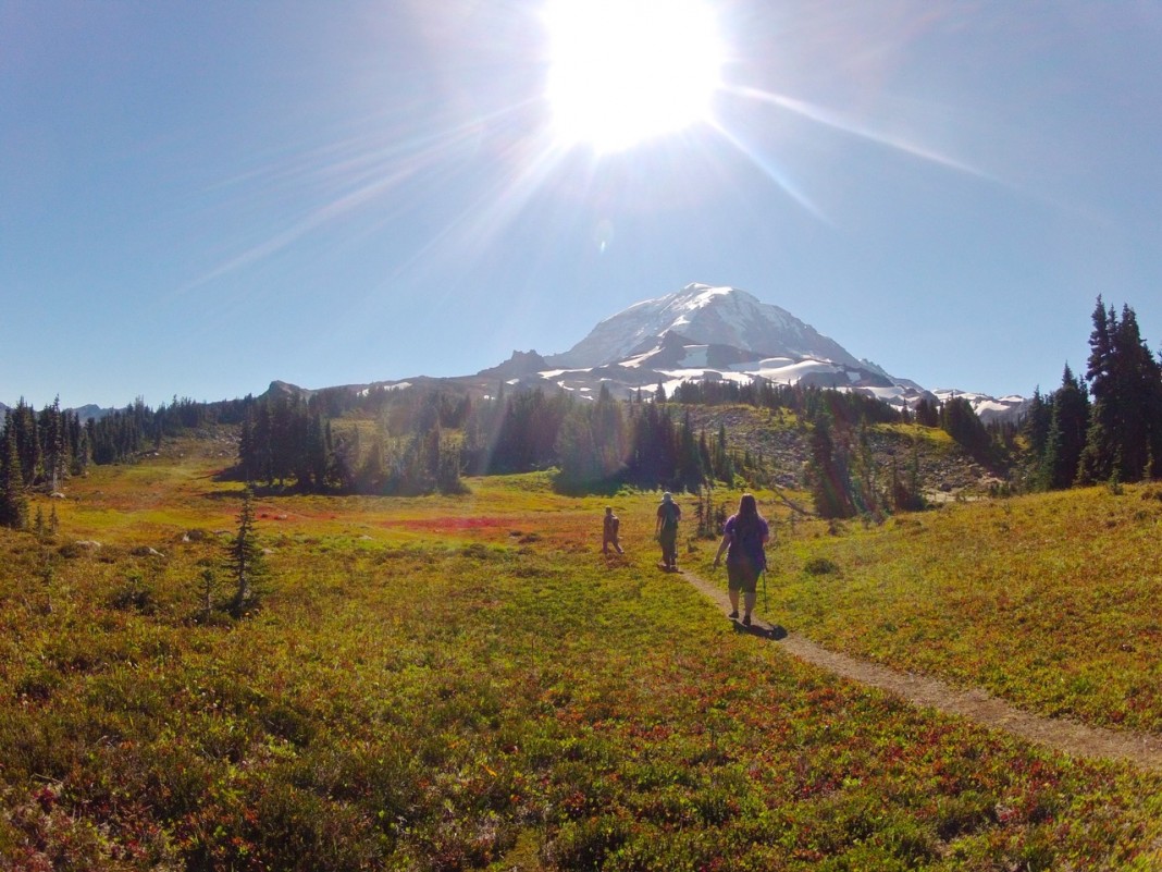 rainier camping