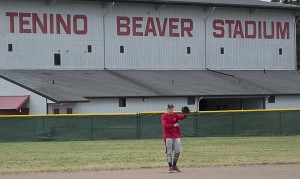 tenino baseball