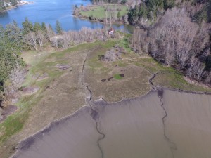 Capitol Land Trust will acquire two adjacent parcels that are near North Thurston schools and Olympia and Lacey. Photo credit: Justin Robert