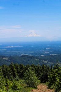 mountain bike capitol forest