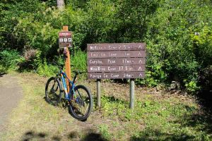 mountain bike capitol forest