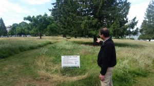 ecolawn trial washington