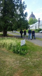 ecolawn trial washington