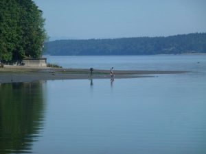 olympia beach park