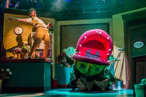 A man-eating plant that sings soul music? Audrey II is one of a kind. Photo courtesy: Harlequin Productions
