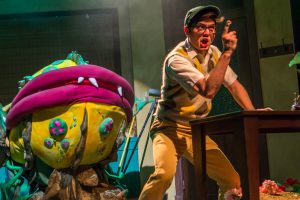 Meet Audrey II in Harlequin Productions' Little Shop of Horrors through July 24. Photo courtesy: Harlequin Productions