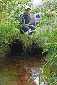 black lake salmon restoration