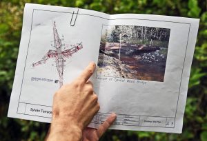 black lake salmon restoration