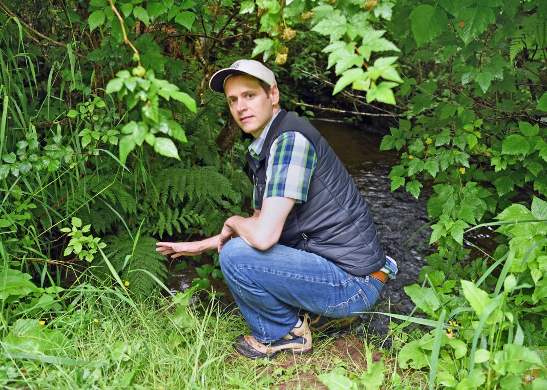 black lake salmon restoration