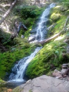 hood canal hiking