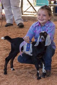 thurston county fair