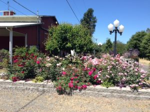 medicine creek winery