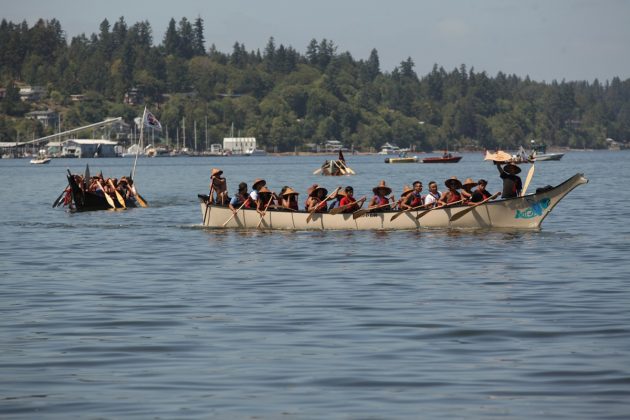 paddle to nisqually