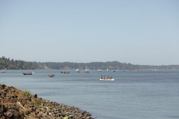 paddle to nisqually