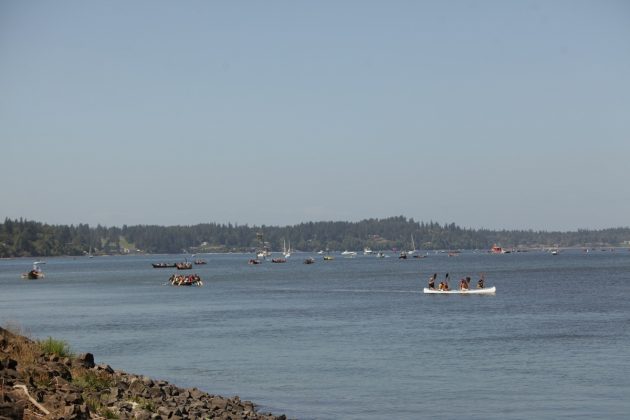 paddle to nisqually