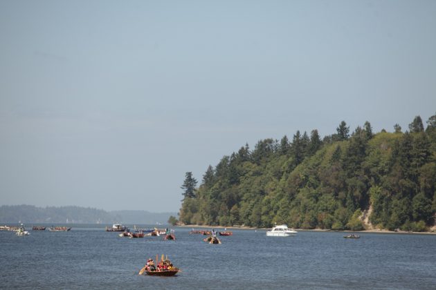 paddle to nisqually