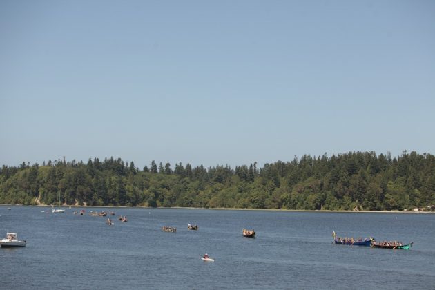 paddle to nisqually
