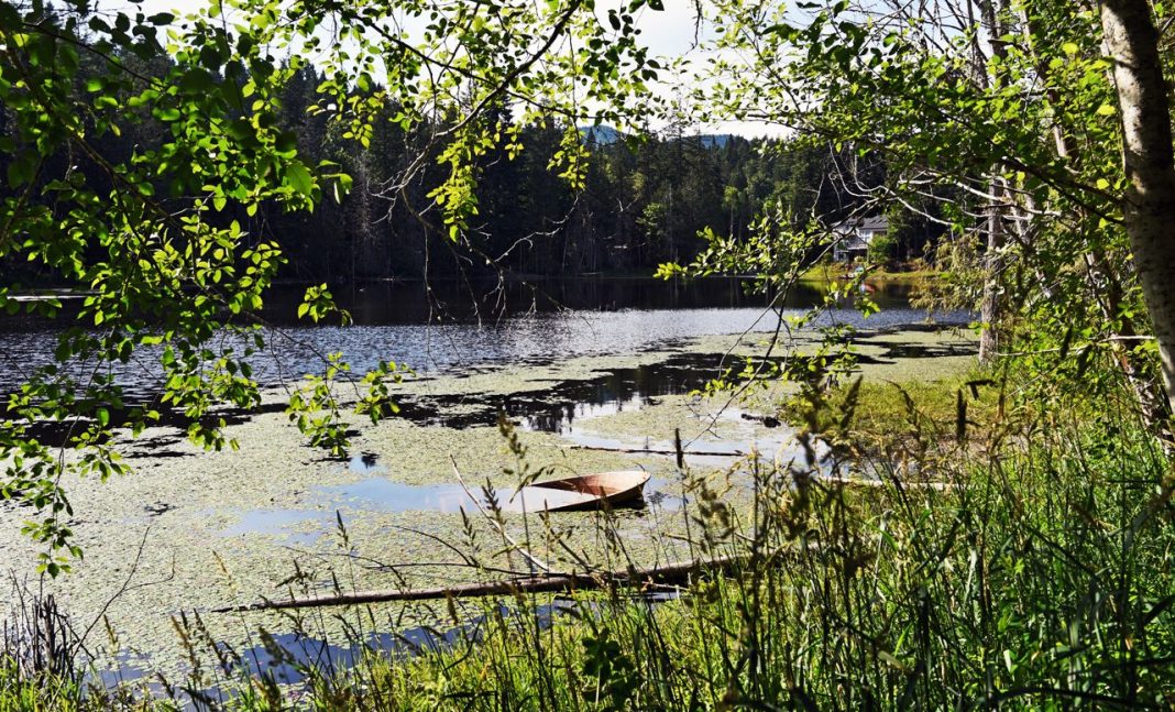 lake lucinda