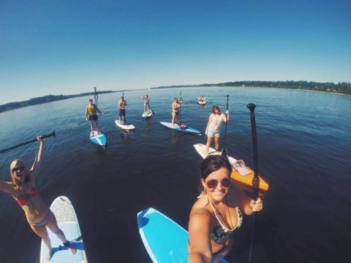 paddle board rental