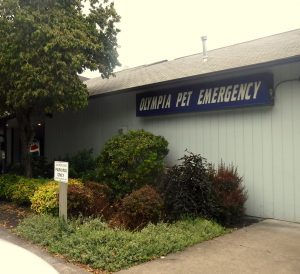 olympia pet emergency