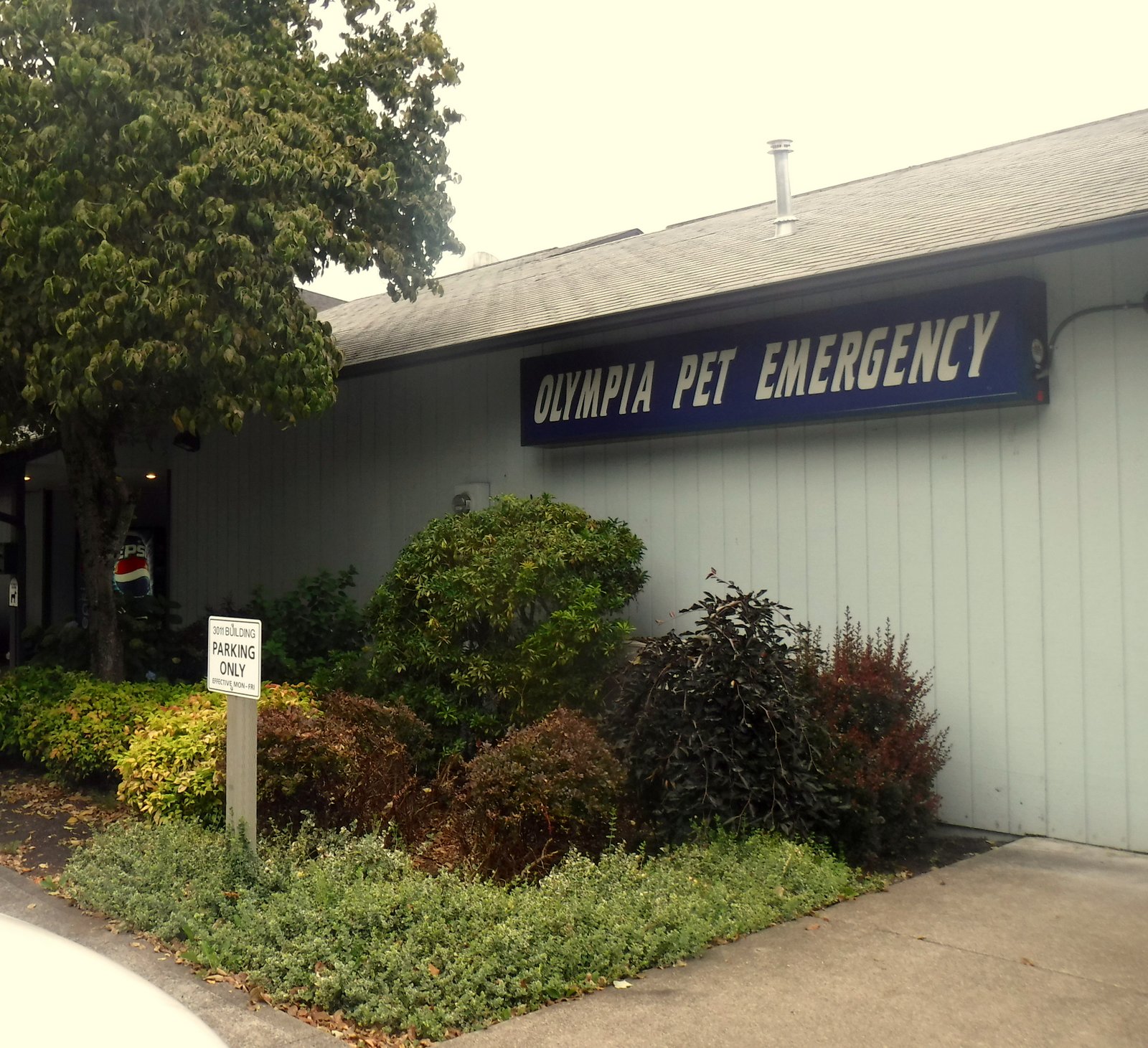Olympia Pet Emergency Provides ER for Injured and Sick ...