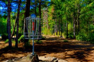 shelton springs disc golf