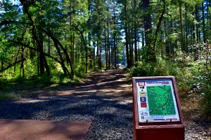  shelton springs disc golf