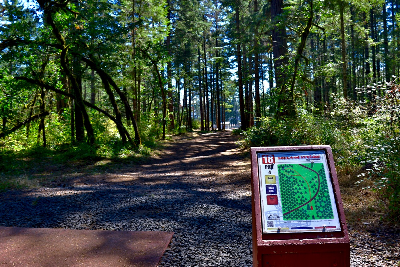Washington's 1 Rated Disc Golf Course is Hiding at Shelton Springs