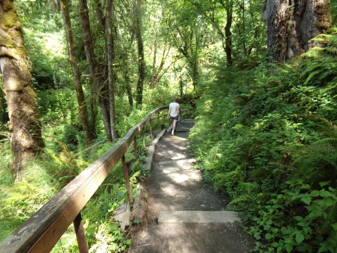 loop trails olympia