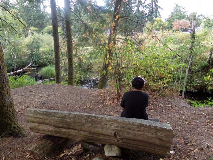 loop trail olympia