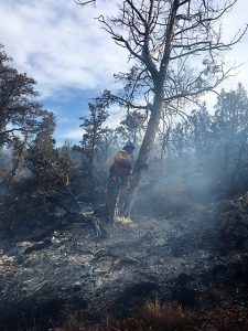 Despite scorching heat and dangerous conditions, all firefighters returned home safely. Photo courtesy: Quinault Indian Nation