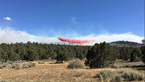 Air support joined the Quinault Fire Crews on the hot Arizona fire lines. Photo courtesy: Quinault Indian Nation