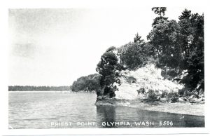 volunteer priest point park