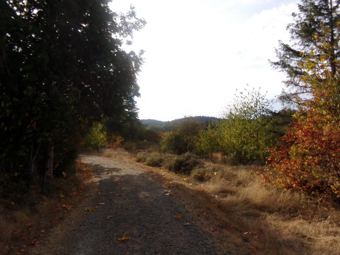 accessible trails