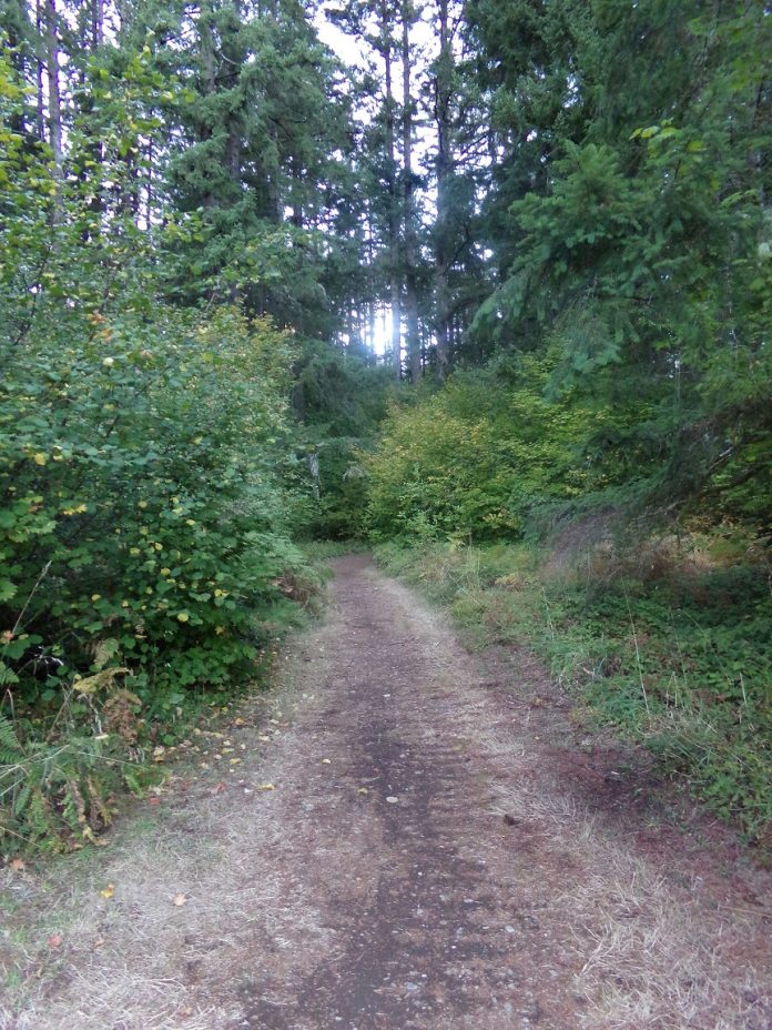 accessible trails