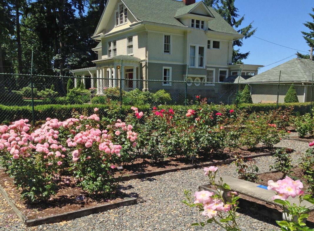 rose garden olympia