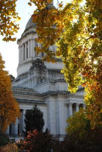 fall colors olympia