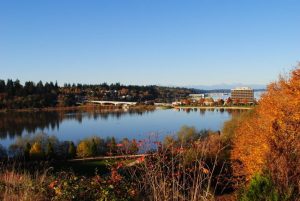 fall colors olympia