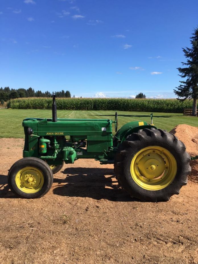 pumpkin patch olympia