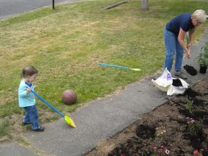 lawn clippings