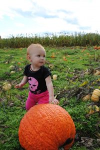 olympia pumpkin patch