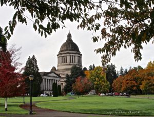 Celebrate the results of the November 8 election at an election party around Olympia. Photo credit: Diane Waiste.