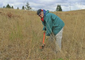 Public Lands Day