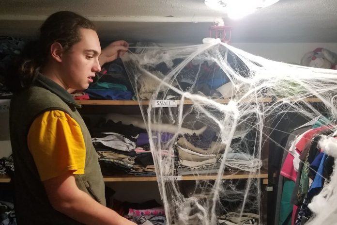 avanti-spider-web