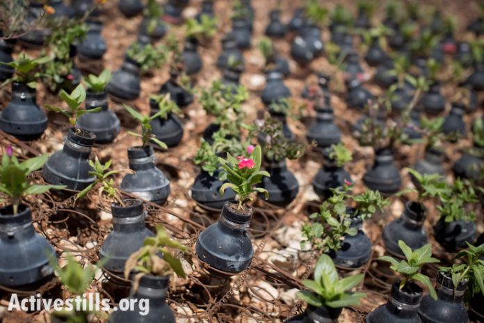 Protest against the wall, Bil\\\'in, West Bank, 4.10.2013