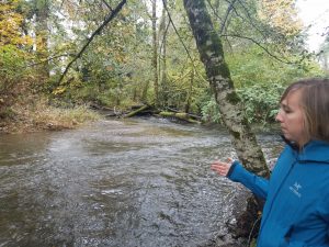 kennedy creek salmon trail