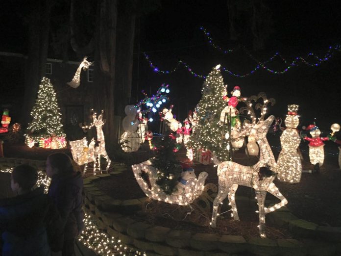 christmas lights olympia