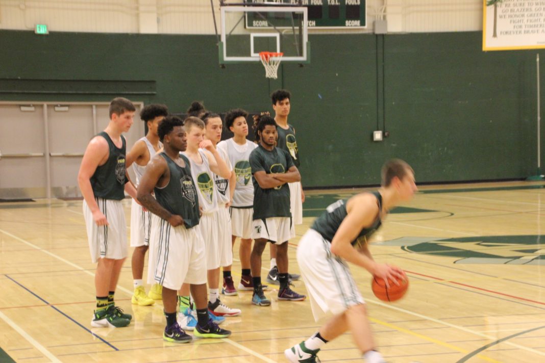 timberline basketball