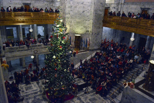 capitol tree lighting