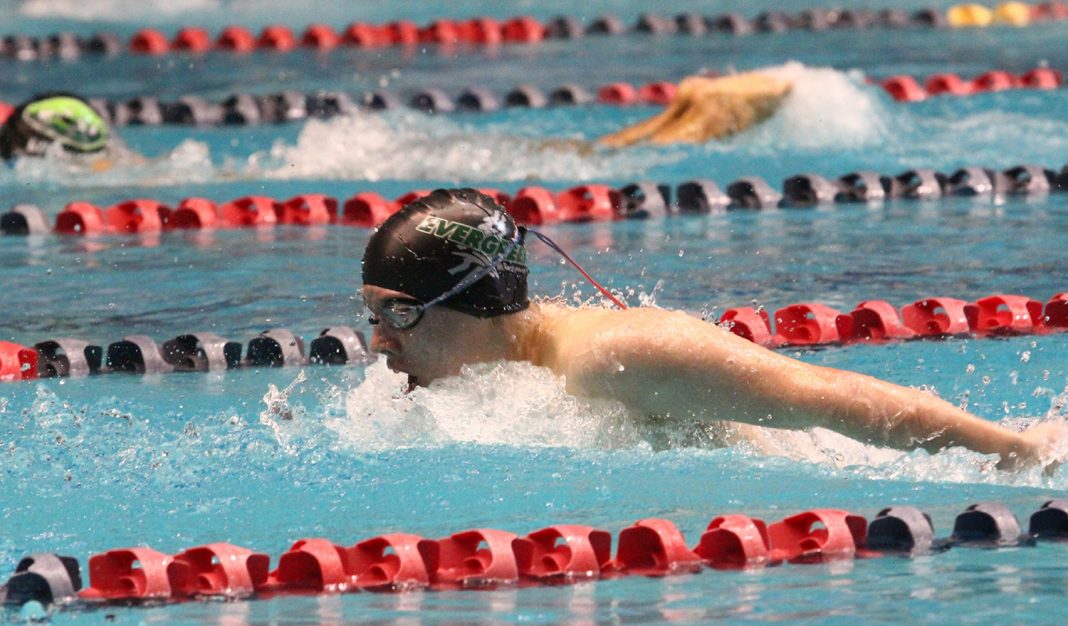 evergreen swim club